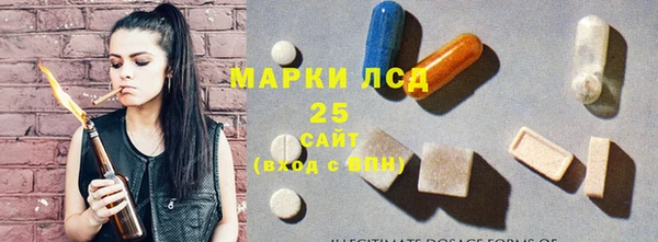 ПСИЛОЦИБИНОВЫЕ ГРИБЫ Зеленокумск