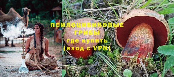 ПСИЛОЦИБИНОВЫЕ ГРИБЫ Зеленокумск