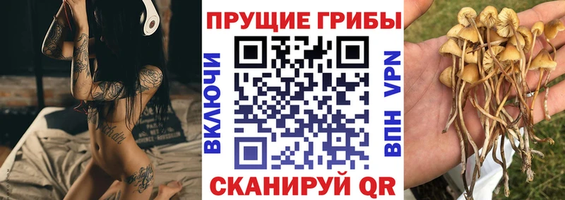 Псилоцибиновые грибы мухоморы  где продают   Карасук 