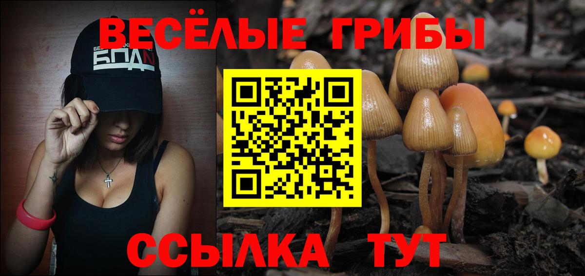 хочу наркоту  Псилоцибиновые грибы Cubensis  Псилоцибиновые грибы MAGIC MUSHROOMS  Вход с VPN  Карасук 