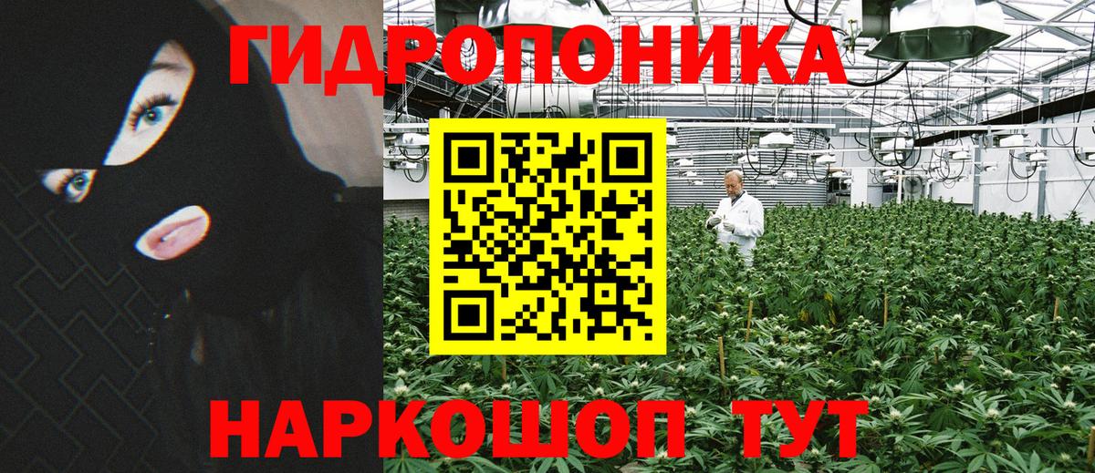 МАРИХУАНА Bruce Banner Карасук
